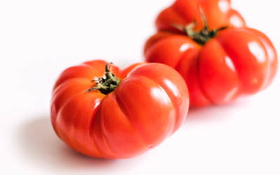 Food Spotlight: Tomatoes